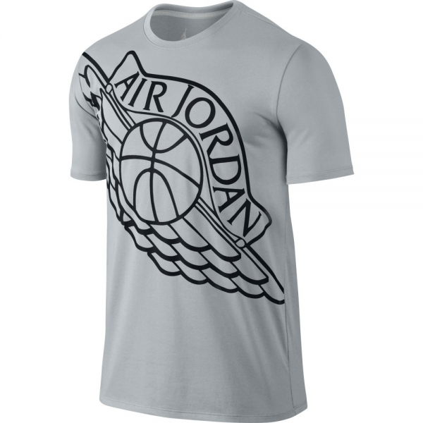 Air Jordan Tee-shirt Wingspan Gris
