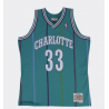 Swingman NBA Alonzo Mourning Charlotte Hornets Mitchell&Ness