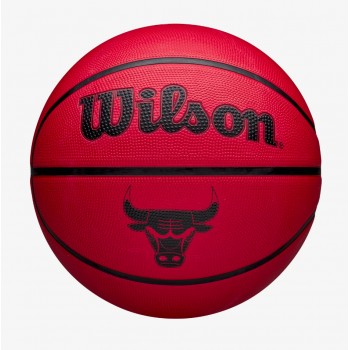 Wilson NBA Team Tribute...